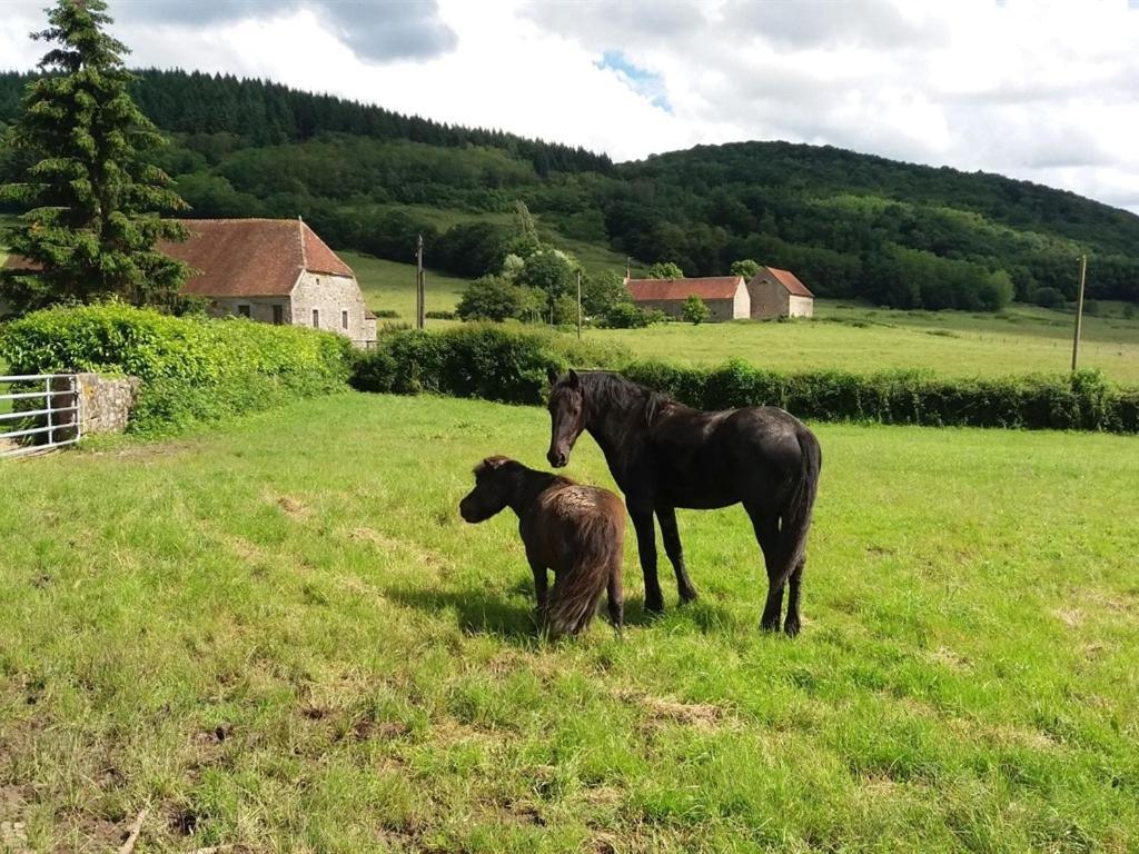 Gite Les Aubues Lormes Esterno foto